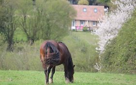 Gite A la petite Bretonnière
