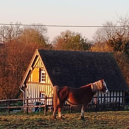 Gite A la petite Bretonnière Saint-Pierre-Des-Ifs  Extérieur photo