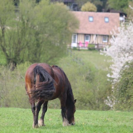 Gite A la petite Bretonnière Saint-Pierre-Des-Ifs  Extérieur photo