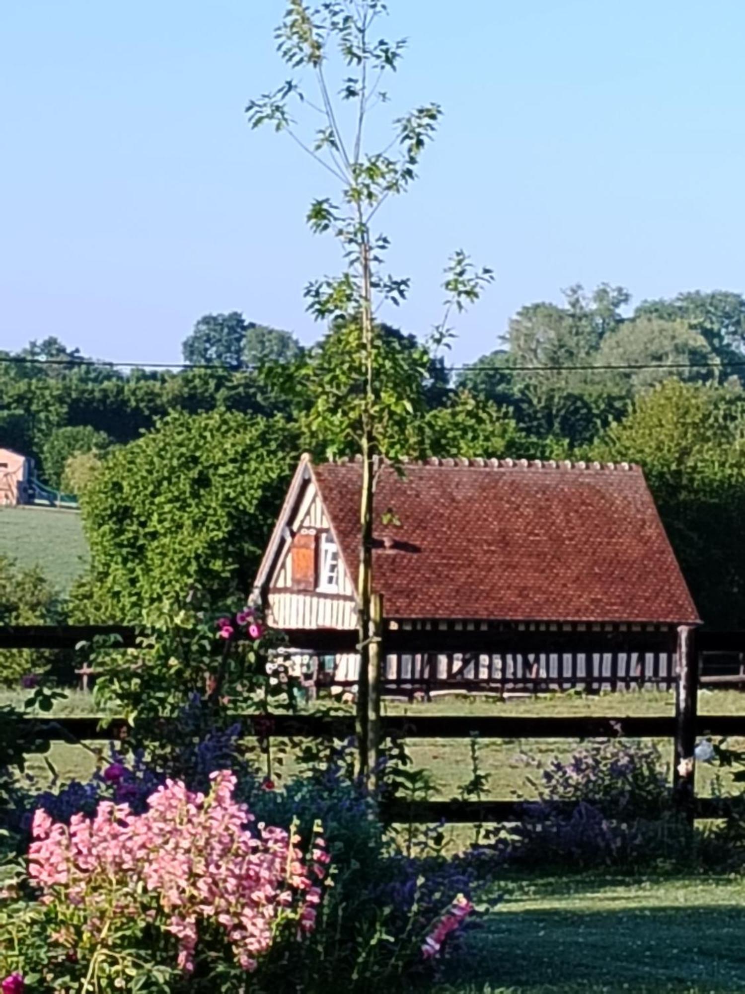 Gite A la petite Bretonnière Saint-Pierre-Des-Ifs  Extérieur photo
