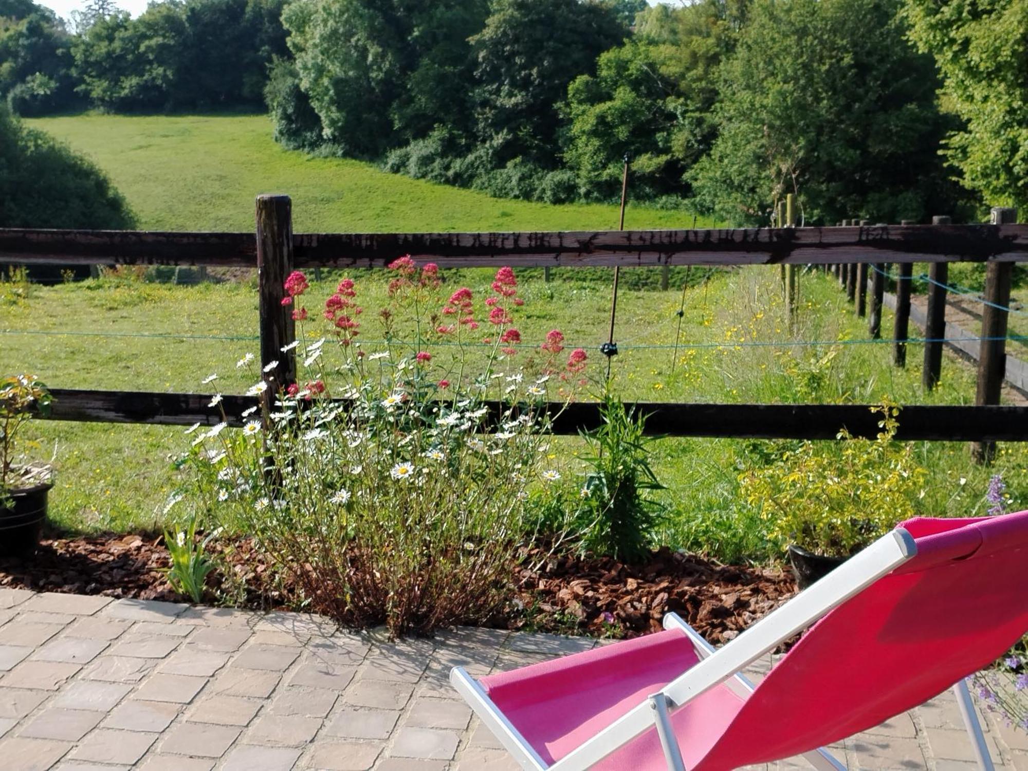 Gite A la petite Bretonnière Saint-Pierre-Des-Ifs  Extérieur photo
