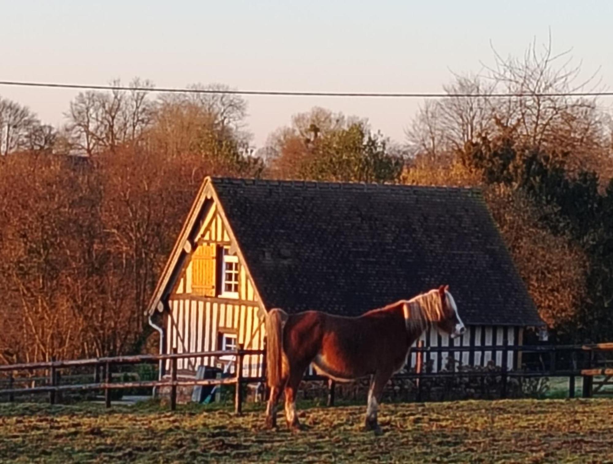 Gite A la petite Bretonnière Saint-Pierre-Des-Ifs  Extérieur photo